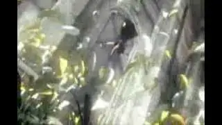 Final Fantasy VII Advent Children Music Video