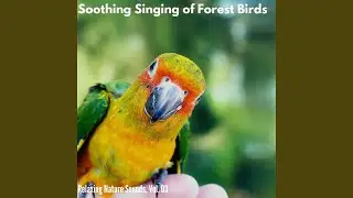 Peculiar Woodpecker