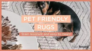 Best Rugs That Are Pet Friendly