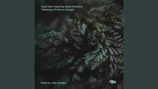 Yesterday (I'll Never Change) (Son Liva Remix)