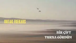 Ortak Frekans - Bir Çift Turna Gördüm