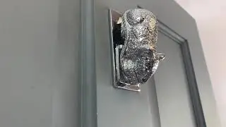 Bright Chrome Dormouse Door Knocker