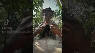 Tulum photographer by libik #tulumphotographer #tulumphotographerlibik #tulum #tulumvibes