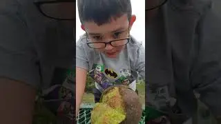 Raw Breadfruit :|: Exotic Fruit Review :|: