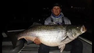 Striper Fishing - How to catch Trophy Stripers
