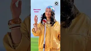 Ziyoda - Dalalarda