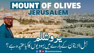 Mount of Olives -Palestine| مائونٹ اولیو یہود کا ایک مقدس مقام|Jerusalem Visit by Mufti Abdul Wahab