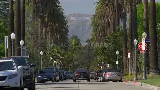 Hollywood Sign Palm Tree Street Free Stock Footage