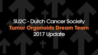 SU2C Dream Team Update: Organoids