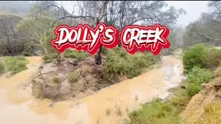 Dolly&rsquo;s creek Morrison&rsquo;s Meredith prospecting for gold #gold #goldpanning #panning #goldcreek