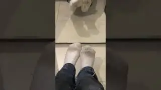 My dirty socks after my work !!