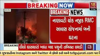 Rajkot Car Set on Fire Over Personal Rivalry, Video Goes Viral | Gujarat | TV9Gujarati =