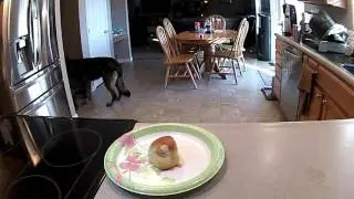 CAUGHT BREAD HANDED