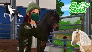 Neue Quest+Basar (Update time)#starstableonline