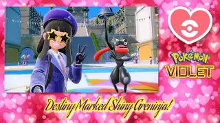 ✨Pok&eacute;mon Violet: DESTINY MARKED SHINY FROAKIE + EVOLUTION TO GRENINJA!✨