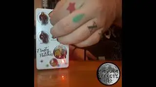 Kaguya Effects - Trusty Patches - Pumpkin Patch Op Amp Fuzz