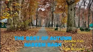 Autumn season At Naseem Bagh