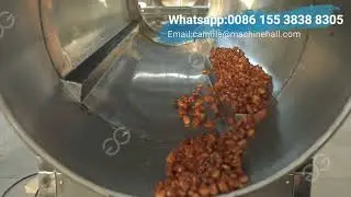 Complete Broad Beans Frying Machine