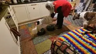 Katy 18 December 2025 - Fitness games