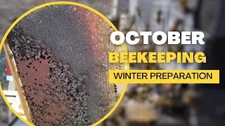 October Beekeeping Tips
