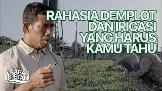 MENGAPA DEMPLOT & IRIGASI DI TIMOR FARM NUSANTARA BEGITU EFEKTIF? | KABAR PETANI