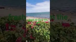 seaside city of cebu city #travel #everyone #atonibai #cebucity