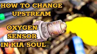 How to change Upstream Oxygen Sensors in 2014 Kia Soul DIY