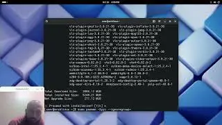 Skip packages update on Arch Linux (needed when downgrading)