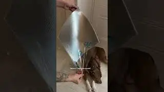 🔥Супер находка- САМОКЛЕЯЩИЙСЯ КОВРОЛИН🔥  #дизайнинтерьера #diy #ремонт #ремонтвдоме #интерьер
