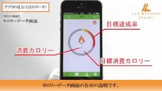 アプリの見方（１日のデータ）│LAD WEATHER ラドウェザー│ WORK MASTER