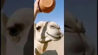 Camel AI The Future of Intelligent Transport#ai#video#shorts