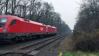 186-361+1116-107+1116-031 [Mozdonyvonat]