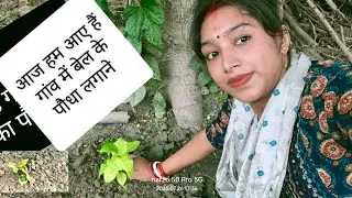 आज हम आए हैं गांव में बेल के पौधा लगाने #belpatra #sonyvlog #paudha #newvideo