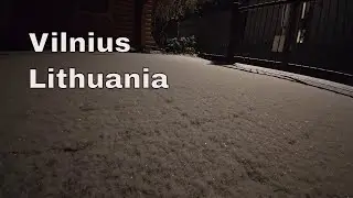 Snow Falling Near the Gate | Quiet Winter Night Ambience