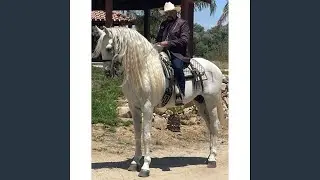 El Guatafan