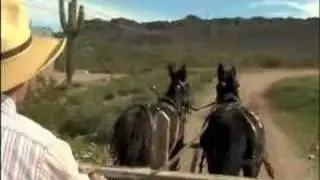 Wagon Driving