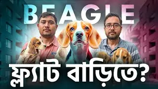 Beagles: Health Issues You Didn't Know About