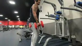 Vlog Episode 15: Arm Day at Crunch Fitness!
