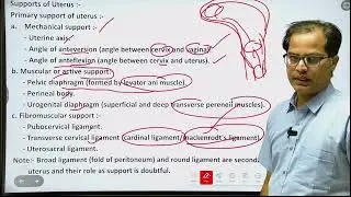 AYUSH & NHM Exam Class 7 | Obstetrics & Gynecology (Ayush Medical Officer) #youtube #homeopathy