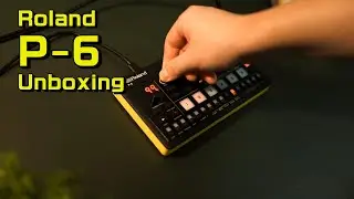 Roland P-6 unboxing