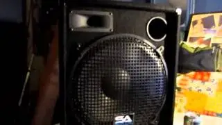 D-Jamz...Seismic Audio Compact 15.2 Speakers review: part 2