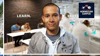 Why study in Norway? Career possibilities
