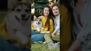 The Evolution of Pets: The Industrial Revolution, Animal Welfare, and Pet Care #Shorts #ShortsVideo