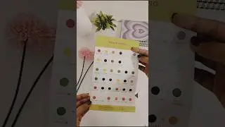 🎨 Unboxing Fevicryl Sunflower Acrylic Paint Set 🌻 | Best Paints for Beginners! ✨#shorts