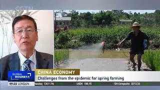 Expert: Official measures to increase financial support for agriculture, rural areas and farmers