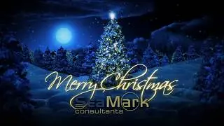 Christmas Wishes from Seamark!