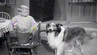 Lassie❄️🎄 A Christmas Story❄️🎄Christmas Special ❄️🎄Christmas Movie For Kids ❄