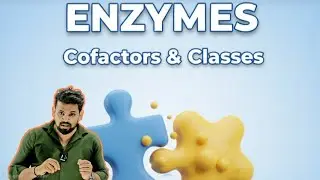 Substrate conc vs Speed of Rxn | Types of inhibitors for enzyme | Biomolecule | NEET 🔥🔥