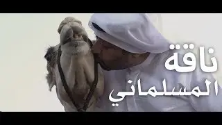 ناقة المسلماني ....  Camel in the house