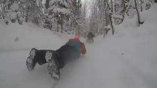 Runner sled race/ camp road